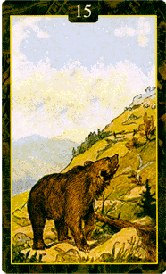 Медведь Ленорман