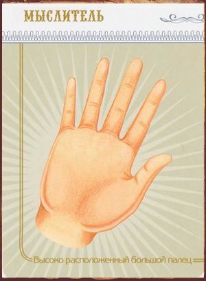 Пальцы на руке в хиромантии Большой палец