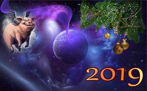 Новый год 2019 год Свиньи,что ждет в год Свиньи,гадания,предсказания
